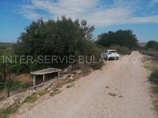 Agricultural plot, Sale, Šibenik - Okolica, Jadrtovac