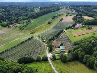Agricultural plot, Sale, Sveti Ivan Zelina, Radoišće