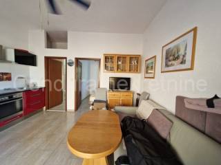 House with apartments, Sale, Vir, Vir