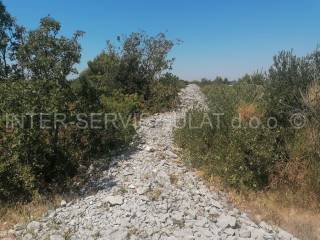 Agricultural plot, Sale, Šibenik - Okolica, Jadrija