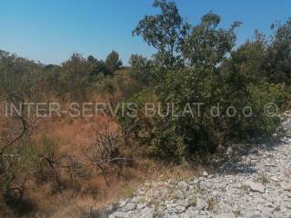 Agricultural plot, Sale, Šibenik - Okolica, Jadrija
