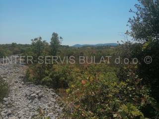 Agricultural plot, Sale, Šibenik - Okolica, Jadrija