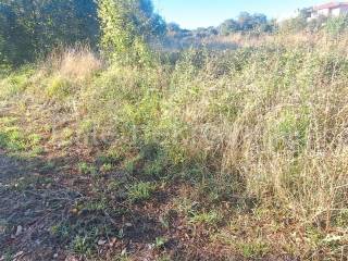 Gradevinsko zemljište, Prodaja, Cavle, Cavle