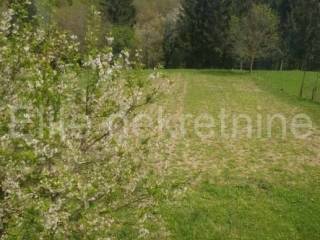 Detached house, Sale, Klana, Studena