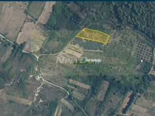 Agricultural plot, Sale, Ražanac, Radovin