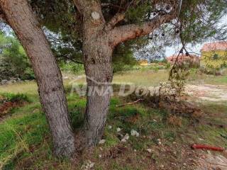 Plot for construction, Sale, Vir, Vir