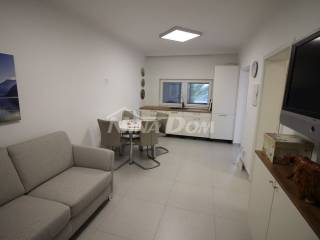 House with apartments, Sale, Vir, Vir