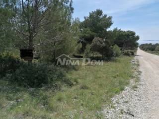 Agricultural plot, Sale, Vir, Vir