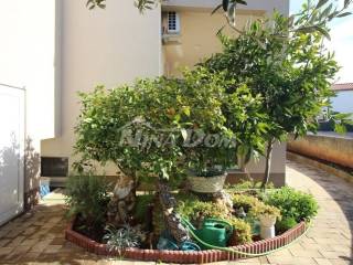House with apartments, Sale, Vir, Vir