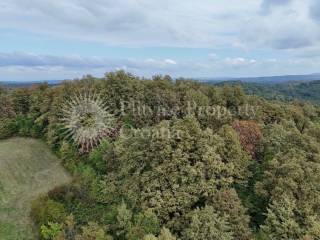 Agricultural plot, Sale, Slunj, Grobnik