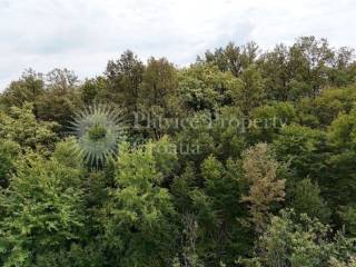 Agricultural plot, Sale, Slunj, Grobnik