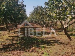 Agricultural plot, Sale, Čakovec, Pustakovec