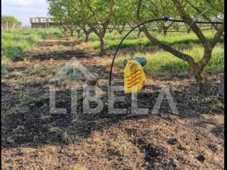 Agricultural plot, Sale, Čakovec, Pustakovec