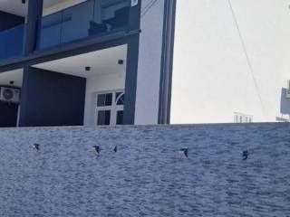 Leasure property, Sale, Crikvenica, Crikvenica