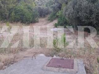 Agricultural plot, Sale, Blato, Blato