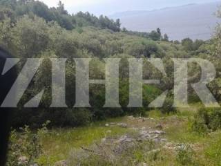 Agricultural plot, Sale, Blato, Blato