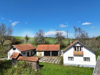 Family house, Sale, Krnjak, Krnjak