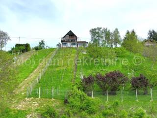 Detached house, Sale, Zagreb, Sesvete