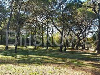 Construction plot for tourism, Sale, Rovinj, Rovinj