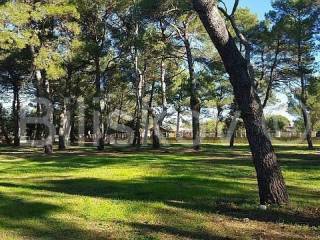 Construction plot for tourism, Sale, Rovinj, Rovinj