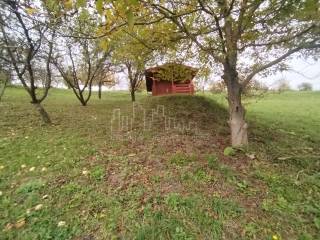 Agricultural plot, Sale, Rugvica, Trstenik Nartski
