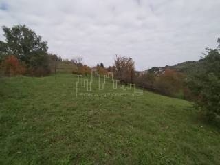 Agricultural plot, Sale, Rugvica, Trstenik Nartski