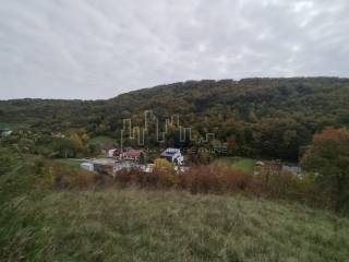 Agricultural plot, Sale, Rugvica, Trstenik Nartski