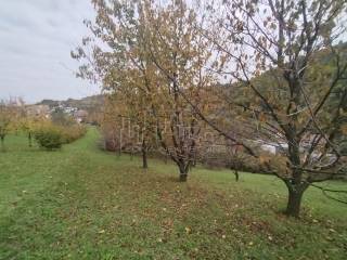 Agricultural plot, Sale, Rugvica, Trstenik Nartski