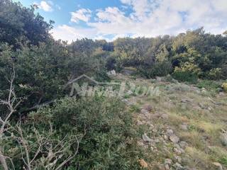 Agricultural plot, Sale, Vir, Vir
