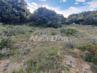 Agricultural plot, Sale, Vir, Vir