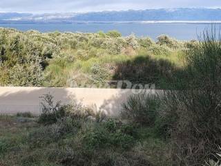 Agricultural plot, Sale, Vir, Vir