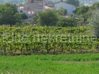 Plot for construction, Sale, Barban, Barban