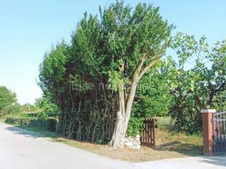 Plot for construction, Sale, Barban, Barban