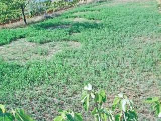 Plot for construction, Sale, Barban, Barban
