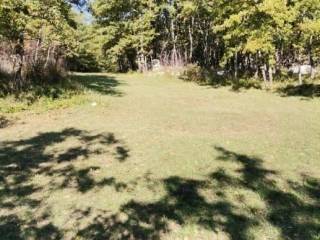 Agricultural plot, Sale, Lovinac, Lovinac