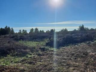 Plot for construction, Sale, Novigrad, Novigrad