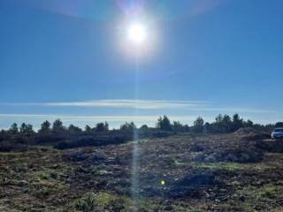 Plot for construction, Sale, Novigrad, Novigrad