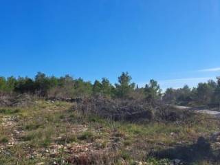 Plot for construction, Sale, Novigrad, Novigrad