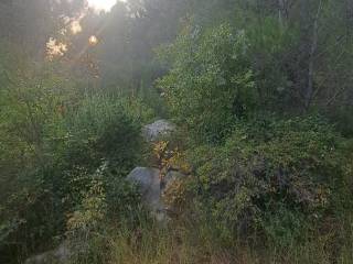 Plot for construction, Sale, Starigrad, Starigrad