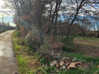 Plot for construction, Sale, Poličnik, Briševo