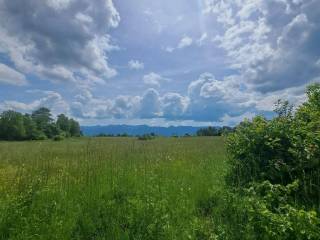 Agricultural plot, Sale, Gospić - Okolica, Mogorić