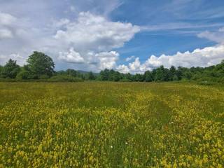 Agricultural plot, Sale, Gospić - Okolica, Mogorić