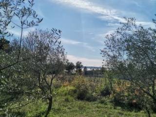 Plot for construction, Sale, Starigrad, Starigrad