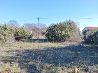 Plot for construction, Sale, Poličnik, Briševo