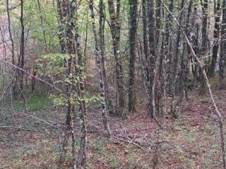 Plot for construction, Sale, Gospić - Okolica, Bužim