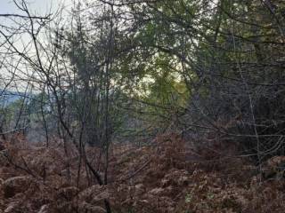 Plot for construction, Sale, Gospić - Okolica, Bužim