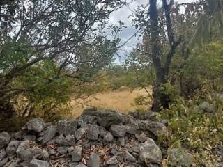 Plot for construction, Sale, Jasenice, Rovanjska
