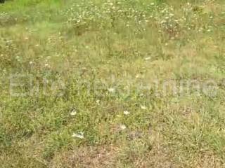 Plot for residential construction, Sale, Rab, Lopar