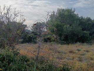 Plot for construction, Sale, Pakoštane, Drage