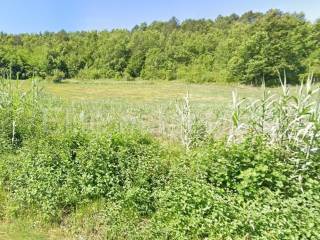 Plot for construction of mixed-use property, Sale, Motovun, Brkač